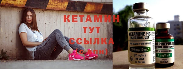 дживик Няндома