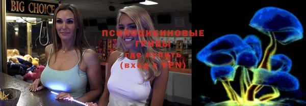дживик Няндома