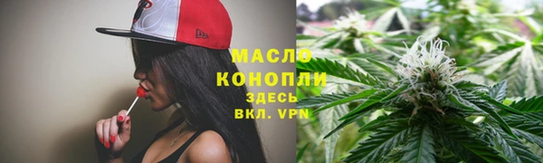 дживик Няндома