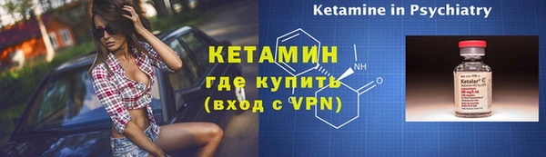 дживик Няндома