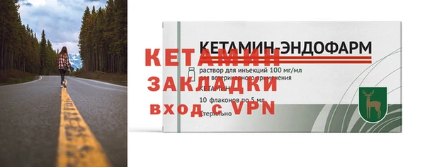 дживик Няндома
