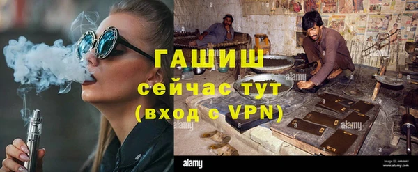 дживик Няндома