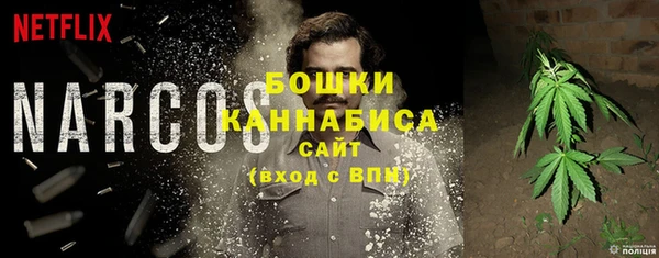 дживик Няндома