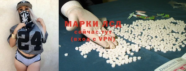 дживик Няндома