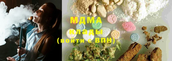 дживик Няндома