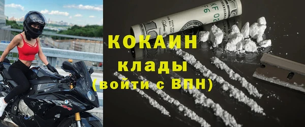 дживик Няндома