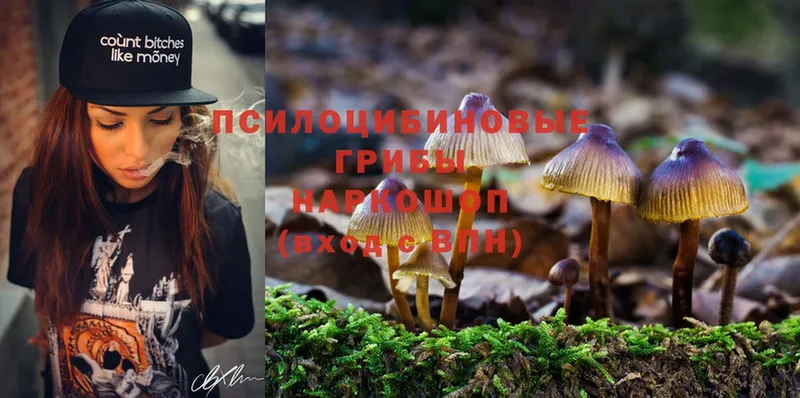 shop телеграм  Борисоглебск  Псилоцибиновые грибы Psilocybe  как найти наркотики 