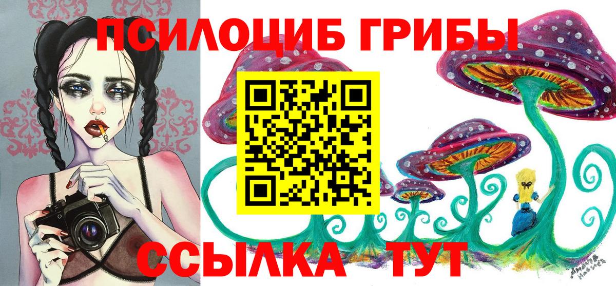 Галлюциногенные грибы Psilocybe  Борисоглебск  Галлюциногенные грибы ЛСД 