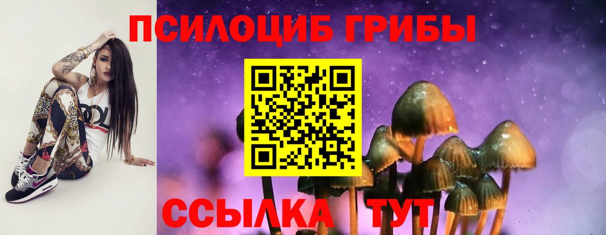Борисоглебск  цены   Вход с VPN  Псилоцибиновые грибы MAGIC MUSHROOMS 