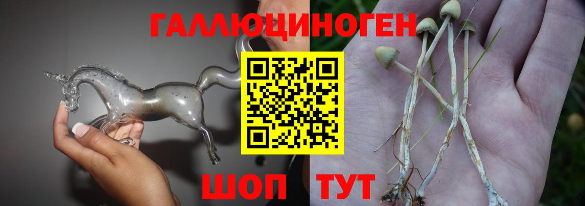 Галлюциногенные грибы прущие грибы Борисоглебск